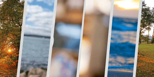 360 - Degree Video Experiences: Showcase Your Products and Services from Every Angle - Invisible Building