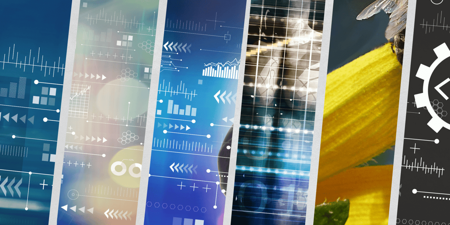 API Integration Excellence: Expanding Functionality for Enhanced User Experience" - Invisible Building