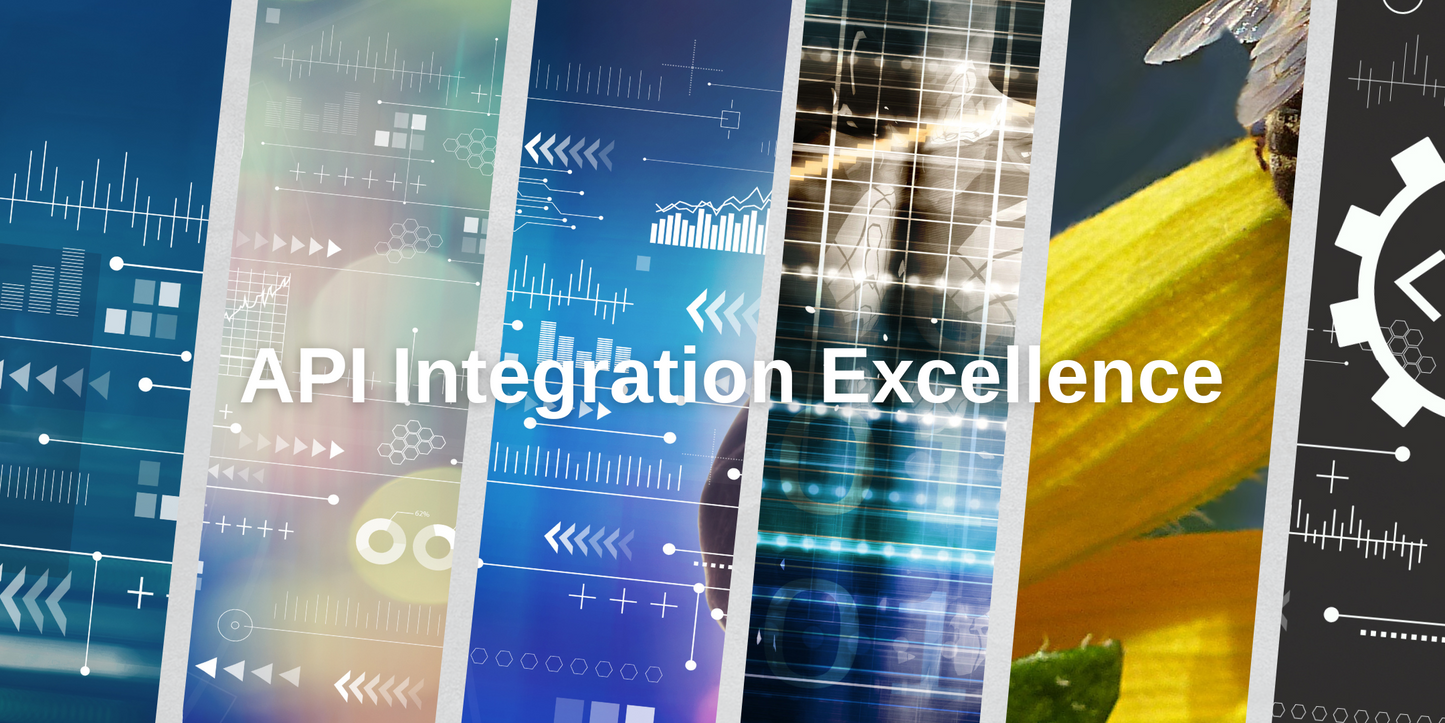 API Integration Excellence: Expanding Functionality for Enhanced User Experience"