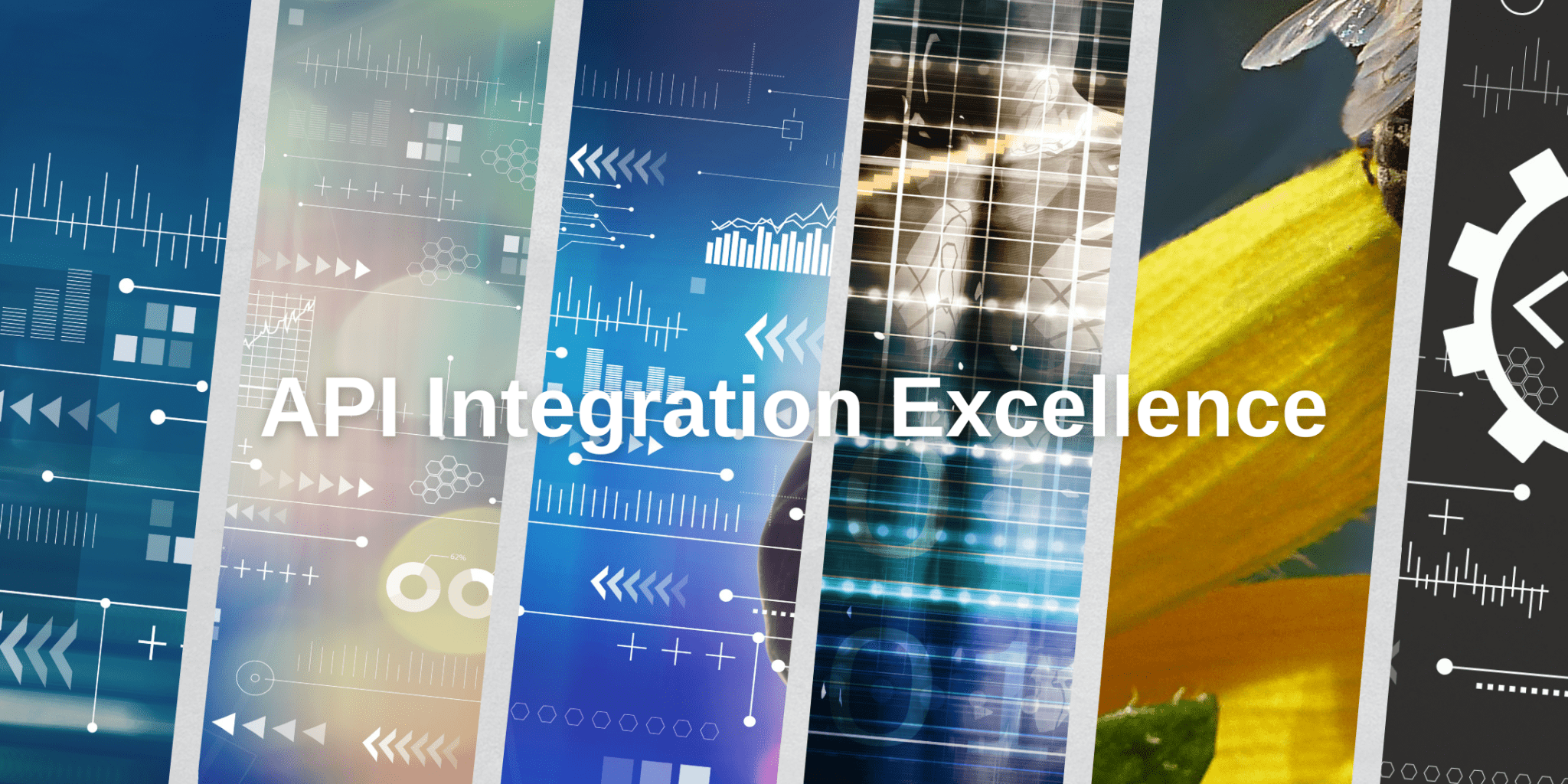 API Integration Excellence: Expanding Functionality for Enhanced User ...